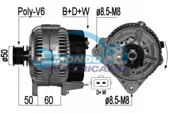 ALTERNATORE