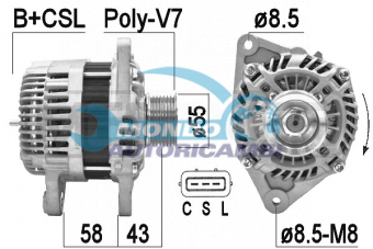 ALTERNATORE