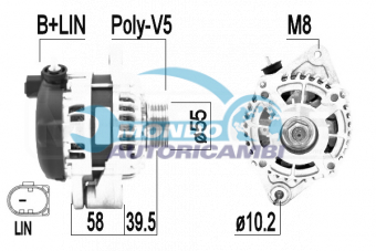 ALTERNATORE