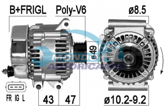 ALTERNATORE