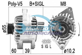 ALTERNATORE