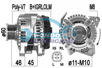 ALTERNATORE