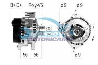 ALTERNATORE
