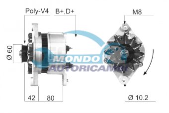 ALTERNATORE