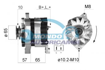 ALTERNATORE