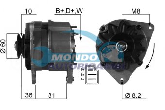 ALTERNATORE