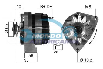 ALTERNATORE