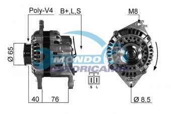 ALTERNATORE