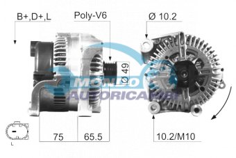 ALTERNATORE
