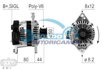 ALTERNATORE