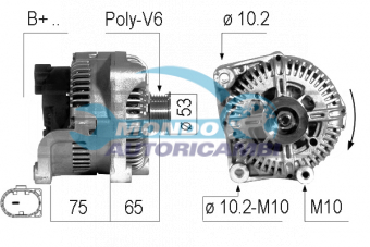 ALTERNATORE