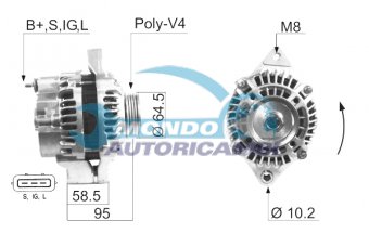 ALTERNATORE