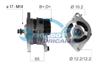 ALTERNATORE
