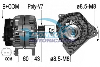 ALTERNATORE