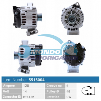 ALTERNATORE