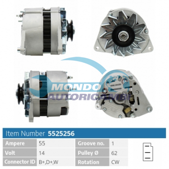 ALTERNATORE