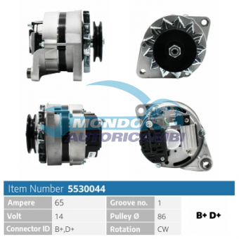ALTERNATORE