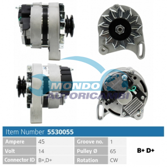 ALTERNATORE