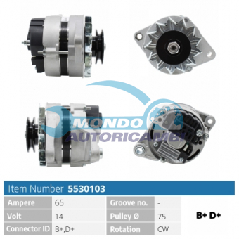 ALTERNATORE