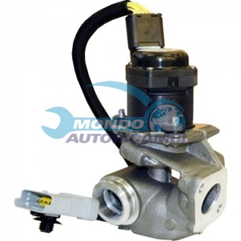 VALVOLA EGR, DSIPOSITIVO CONTROLLO EMISSIONE SCARICO, GRUPPO EGR, VALVOLA RICIRCOLAZIONE GAS, VALVOLA RICIRCOLO GAS SCARICO
