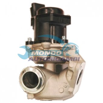 VALVOLA EGR, DSIPOSITIVO CONTROLLO EMISSIONE SCARICO, GRUPPO EGR, VALVOLA RICIRCOLAZIONE GAS, VALVOLA RICIRCOLO GAS SCARICO