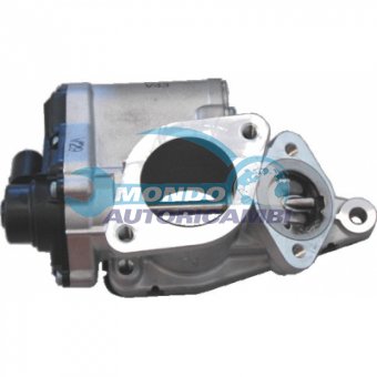 VALVOLA EGR, DSIPOSITIVO CONTROLLO EMISSIONE SCARICO, GRUPPO EGR, VALVOLA RICIRCOLAZIONE GAS, VALVOLA RICIRCOLO GAS SCARICO