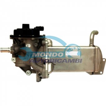 VALVOLA EGR, DSIPOSITIVO CONTROLLO EMISSIONE SCARICO, GRUPPO EGR, VALVOLA RICIRCOLAZIONE GAS, VALVOLA RICIRCOLO GAS SCARICO