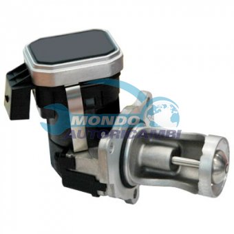 VALVOLA EGR, DSIPOSITIVO CONTROLLO EMISSIONE SCARICO, GRUPPO EGR, VALVOLA RICIRCOLAZIONE GAS, VALVOLA RICIRCOLO GAS SCARICO