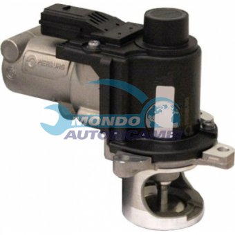 VALVOLA EGR, DSIPOSITIVO CONTROLLO EMISSIONE SCARICO, GRUPPO EGR, VALVOLA RICIRCOLAZIONE GAS, VALVOLA RICIRCOLO GAS SCARICO