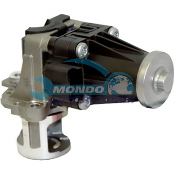 VALVOLA EGR, DSIPOSITIVO CONTROLLO EMISSIONE SCARICO, GRUPPO EGR, VALVOLA RICIRCOLAZIONE GAS, VALVOLA RICIRCOLO GAS SCARICO
