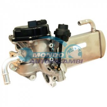 VALVOLA EGR, DSIPOSITIVO CONTROLLO EMISSIONE SCARICO, GRUPPO EGR, VALVOLA RICIRCOLAZIONE GAS, VALVOLA RICIRCOLO GAS SCARICO