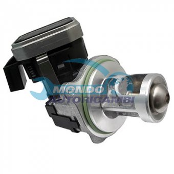 VALVOLA EGR, DSIPOSITIVO CONTROLLO EMISSIONE SCARICO, GRUPPO EGR, VALVOLA RICIRCOLAZIONE GAS, VALVOLA RICIRCOLO GAS SCARICO