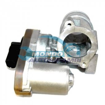 VALVOLA EGR, DSIPOSITIVO CONTROLLO EMISSIONE SCARICO, GRUPPO EGR, VALVOLA RICIRCOLAZIONE GAS, VALVOLA RICIRCOLO GAS SCARICO