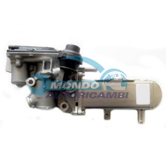 VALVOLA EGR, DSIPOSITIVO CONTROLLO EMISSIONE SCARICO, GRUPPO EGR, VALVOLA RICIRCOLAZIONE GAS, VALVOLA RICIRCOLO GAS SCARICO