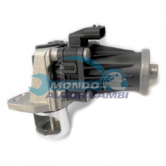 VALVOLA EGR, DSIPOSITIVO CONTROLLO EMISSIONE SCARICO, GRUPPO EGR, VALVOLA RICIRCOLAZIONE GAS, VALVOLA RICIRCOLO GAS SCARICO