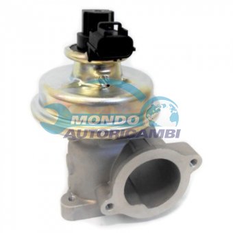 VALVOLA EGR, DSIPOSITIVO CONTROLLO EMISSIONE SCARICO, GRUPPO EGR, VALVOLA RICIRCOLAZIONE GAS, VALVOLA RICIRCOLO GAS SCARICO