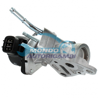 VALVOLA EGR, DSIPOSITIVO CONTROLLO EMISSIONE SCARICO, GRUPPO EGR, VALVOLA RICIRCOLAZIONE GAS, VALVOLA RICIRCOLO GAS SCARICO