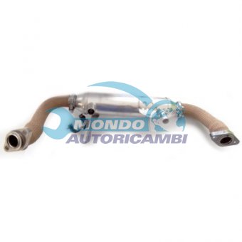 VALVOLA EGR, DSIPOSITIVO CONTROLLO EMISSIONE SCARICO, GRUPPO EGR, VALVOLA RICIRCOLAZIONE GAS, VALVOLA RICIRCOLO GAS SCARICO