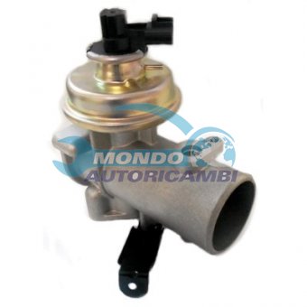 VALVOLA EGR, DSIPOSITIVO CONTROLLO EMISSIONE SCARICO, GRUPPO EGR, VALVOLA RICIRCOLAZIONE GAS, VALVOLA RICIRCOLO GAS SCARICO
