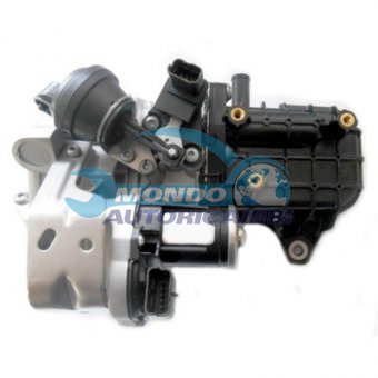 VALVOLA EGR, DSIPOSITIVO CONTROLLO EMISSIONE SCARICO, GRUPPO EGR, VALVOLA RICIRCOLAZIONE GAS, VALVOLA RICIRCOLO GAS SCARICO