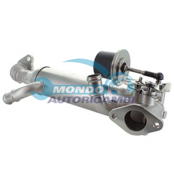VALVOLA EGR, DSIPOSITIVO CONTROLLO EMISSIONE SCARICO, GRUPPO EGR, VALVOLA RICIRCOLAZIONE GAS, VALVOLA RICIRCOLO GAS SCARICO