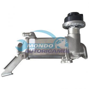VALVOLA EGR, DSIPOSITIVO CONTROLLO EMISSIONE SCARICO, GRUPPO EGR, VALVOLA RICIRCOLAZIONE GAS, VALVOLA RICIRCOLO GAS SCARICO