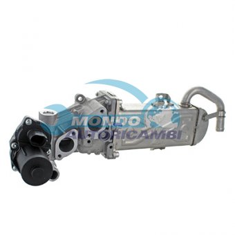VALVOLA EGR, DSIPOSITIVO CONTROLLO EMISSIONE SCARICO, GRUPPO EGR, VALVOLA RICIRCOLAZIONE GAS, VALVOLA RICIRCOLO GAS SCARICO