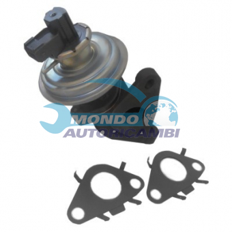 VALVOLA EGR, DSIPOSITIVO CONTROLLO EMISSIONE SCARICO, GRUPPO EGR, VALVOLA RICIRCOLAZIONE GAS, VALVOLA RICIRCOLO GAS SCARICO