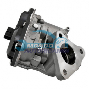 VALVOLA EGR, DSIPOSITIVO CONTROLLO EMISSIONE SCARICO, GRUPPO EGR, VALVOLA RICIRCOLAZIONE GAS, VALVOLA RICIRCOLO GAS SCARICO