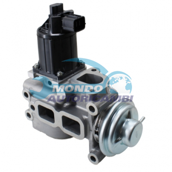 VALVOLA EGR, DSIPOSITIVO CONTROLLO EMISSIONE SCARICO, GRUPPO EGR, VALVOLA RICIRCOLAZIONE GAS, VALVOLA RICIRCOLO GAS SCARICO