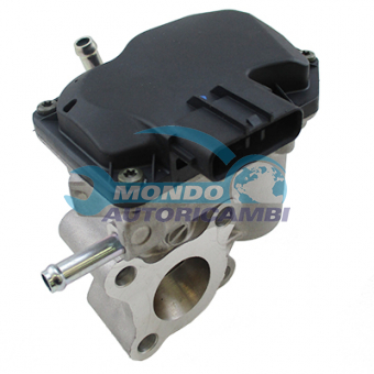 VALVOLA EGR, DSIPOSITIVO CONTROLLO EMISSIONE SCARICO, GRUPPO EGR, VALVOLA RICIRCOLAZIONE GAS, VALVOLA RICIRCOLO GAS SCARICO
