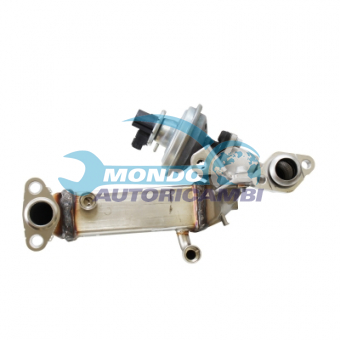 VALVOLA EGR, DSIPOSITIVO CONTROLLO EMISSIONE SCARICO, GRUPPO EGR, VALVOLA RICIRCOLAZIONE GAS, VALVOLA RICIRCOLO GAS SCARICO