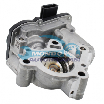 VALVOLA EGR, DSIPOSITIVO CONTROLLO EMISSIONE SCARICO, GRUPPO EGR, VALVOLA RICIRCOLAZIONE GAS, VALVOLA RICIRCOLO GAS SCARICO