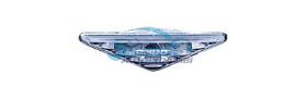 FANALE, FARI, GRUPPO OTTICO, GRUPPO OTTICO, PROIETTORE, PROIETTORE, PROIETTORE ALOGENO, RIFLETTORE